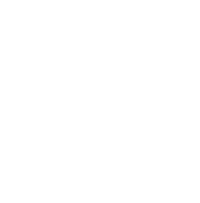 Friedrichs-IT